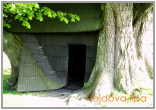 Vejdova lípa - Pastviny 02